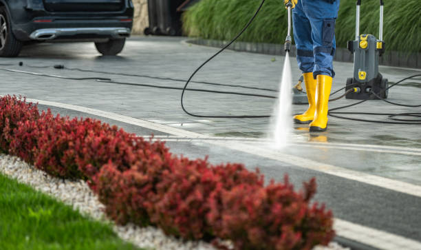 Best Building Exterior Washing  in South Pasadena, CA